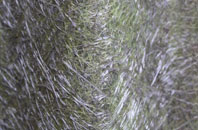 Flaxby fibreglass roof work